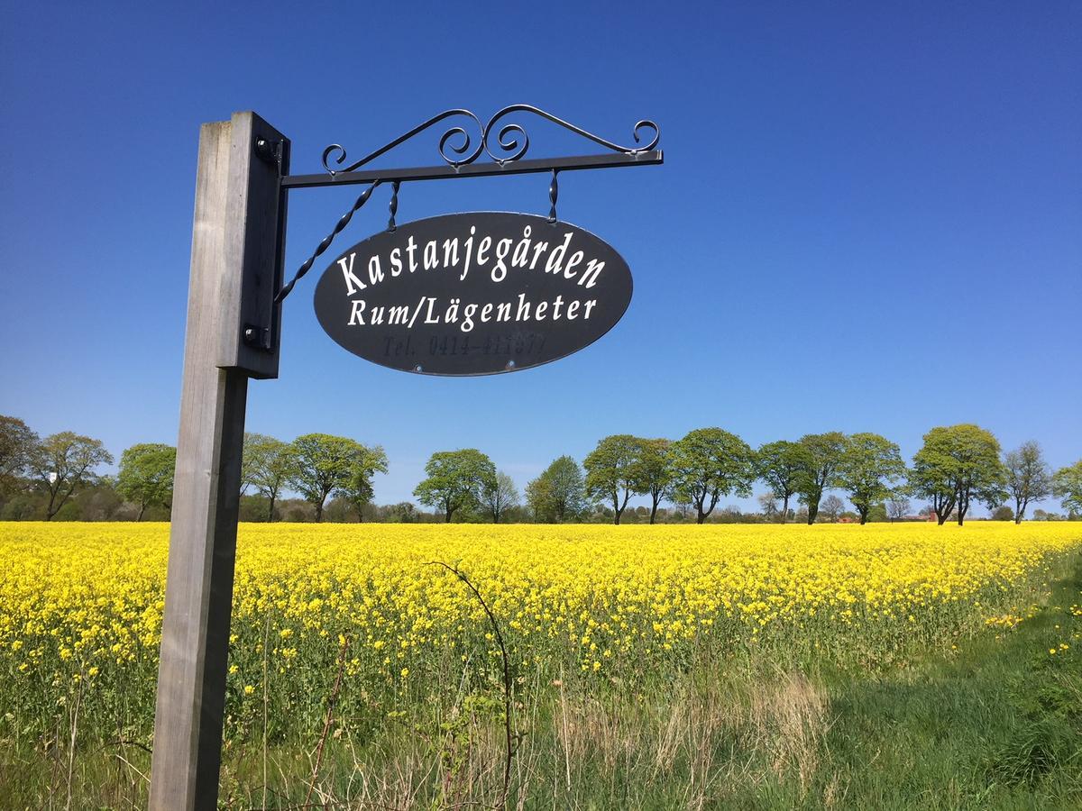 Kastanjegarden Pa Stenshuvud Чивик Екстериор снимка